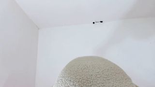 barelylegal11 - Horny baby in a plush suit chating