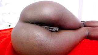 _haley_jonnes - Booty ebony flashing big beaver