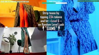 wh4thefuck - Foxy brunette's webcam chat