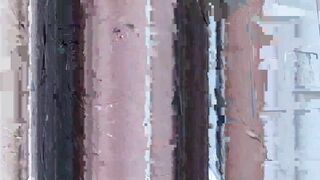 cheetah_-29237380-2021-06-17--16-22-16