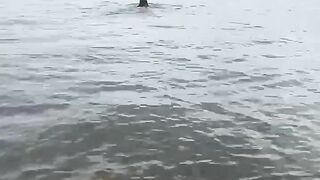 haier53 - Amateur stripping outdoors