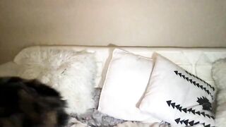 tatii_tatii - Charming blonde's cam video