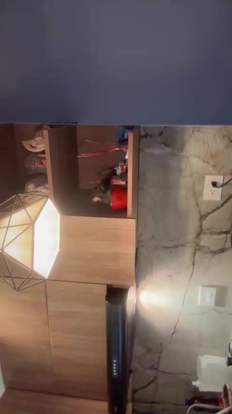 SharonAndTaylo 2025-03-07 1702 webcam video